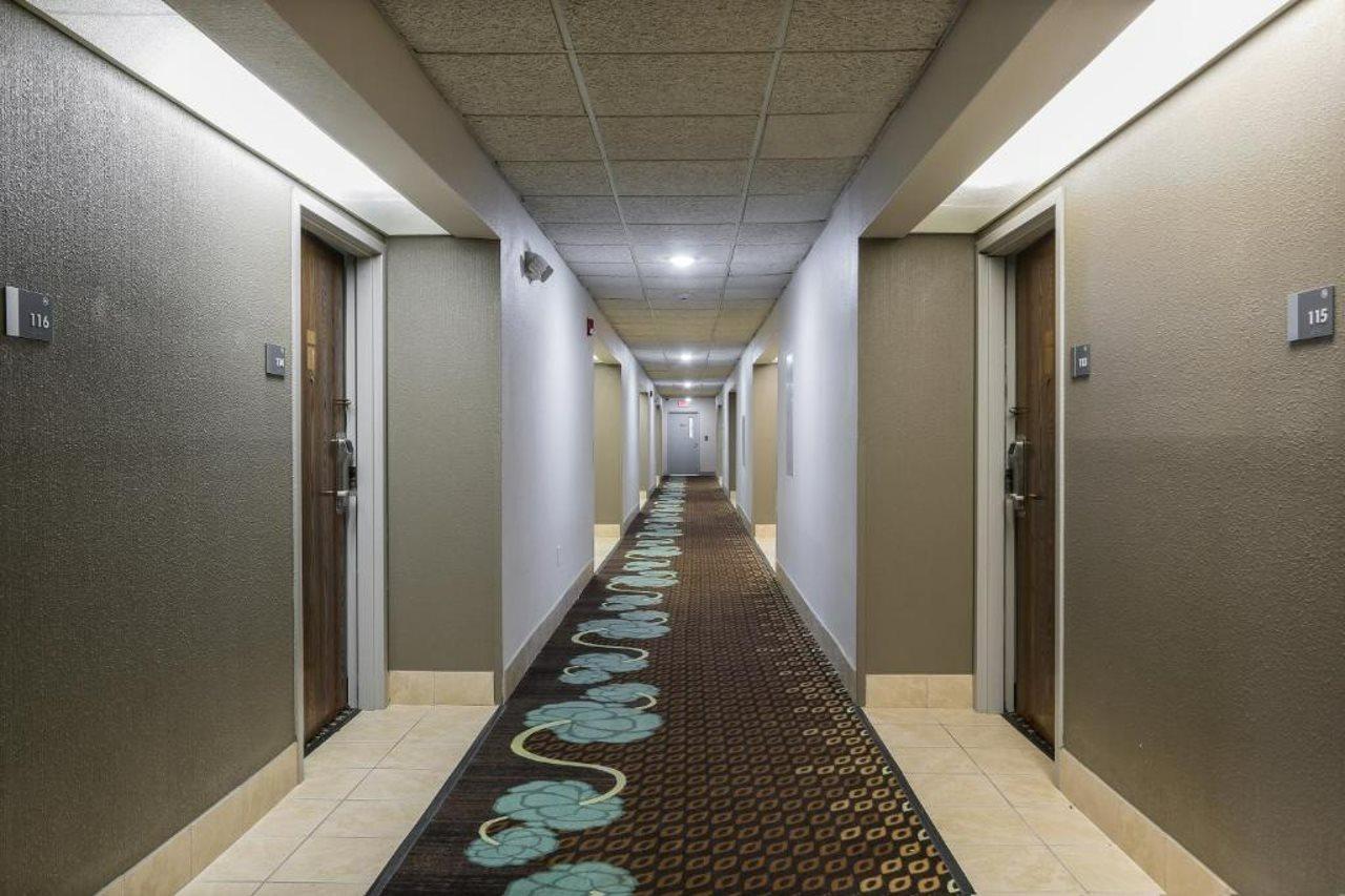 Bliss Point Inn & Suites New Buffalo Exteriör bild